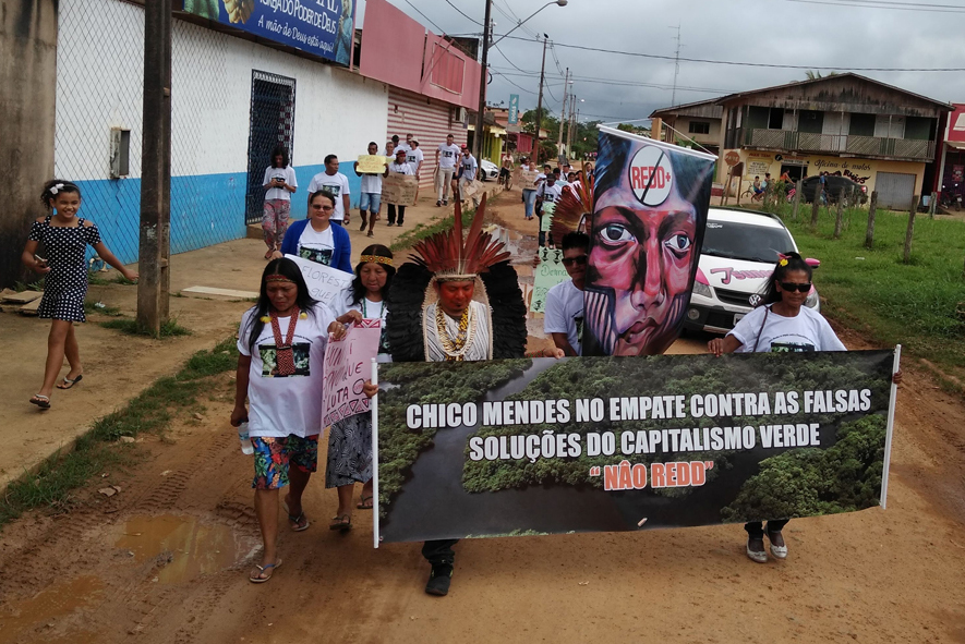 10 Years of REDD+ in Acre and its Impacts on Indigenous Women and Female  Extrativistas