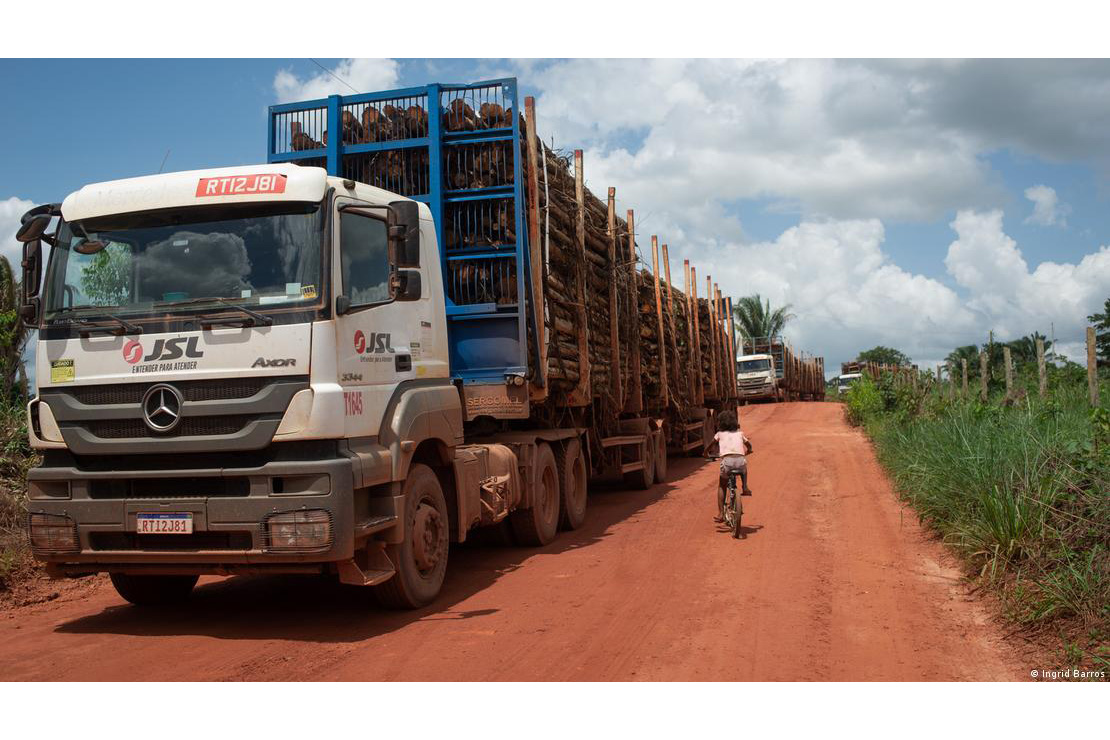 2 Billion New Trees: Suzano, Santander Launch Massive Planting Push in  Brazil - Bloomberg