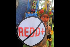 no REDD - indigenous child