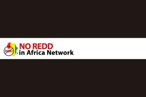No redd in africa Network