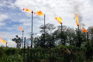 Ecuador: Chevron-Texaco