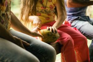 Brasil alimentos