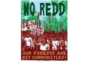 No REDD 1