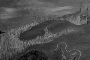 Illustration: Sofía Calvo