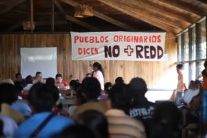 Talamanca diz Não ao REDD+ (Foto: Telar Comunicação Popular)