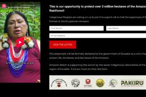 ecuador amazonia