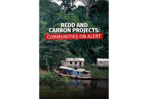 Cover-REDD