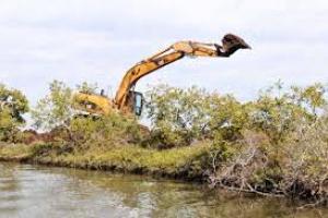Support this declaration! Chico Mendes in the Standoff Against the False Solutions of Green Capitalism*