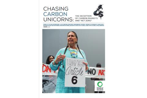 portada chasing carbon unicorns