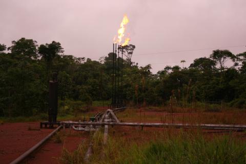 oil extraction amazon