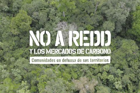 noaredd