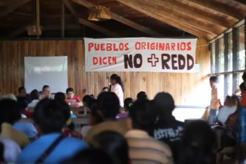 Talamanca diz Não ao REDD+ (Foto: Telar Comunicação Popular)