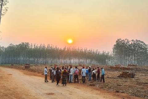 Communities resist eucalyptus monocultures in Mozambique (Photo: WRM)
