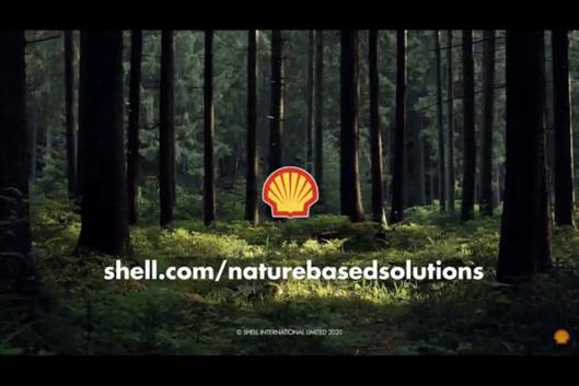 shell-nbs