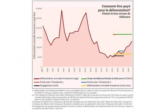 grafico amazon