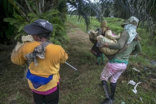 RSPO mujeres palma