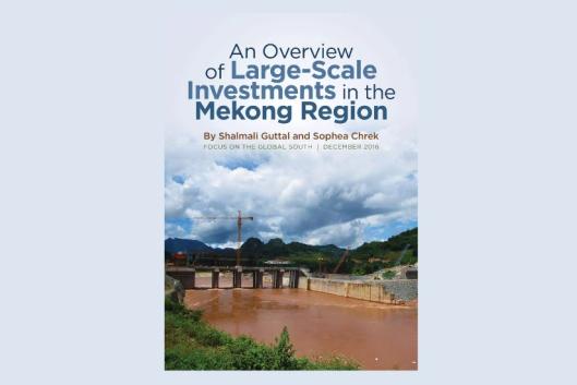 AN OVERVIEW OF LARGE-SCALE INVESTMENTS IN THE MEKONG REGIO