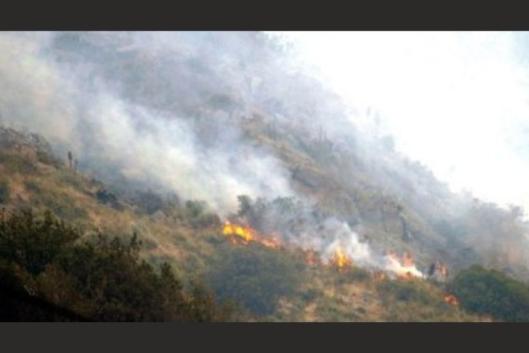 Chile incendio forestal
