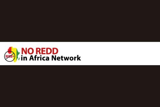 No redd in africa Network