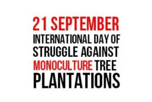 21de septiembre lucha contra plantaciones