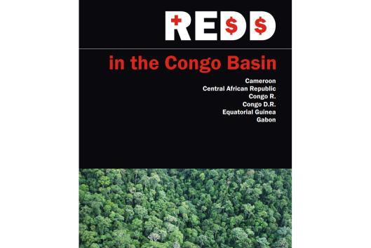 REDD_congo_basin