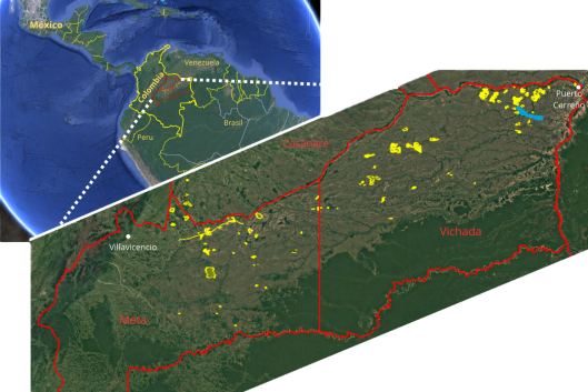 Figure 1: Map showing, in yellow, where most of the plantations for the carbon market are located in the Colombian Orinoquía