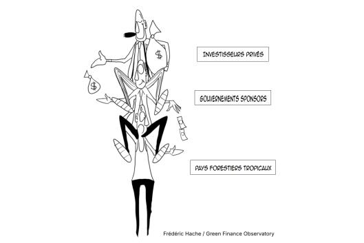 Fonds Tropical Forest Forever : aucune raison de s’en réjouir