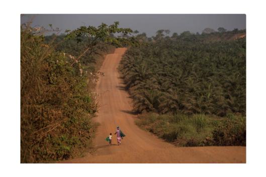 Socfin against the ropes