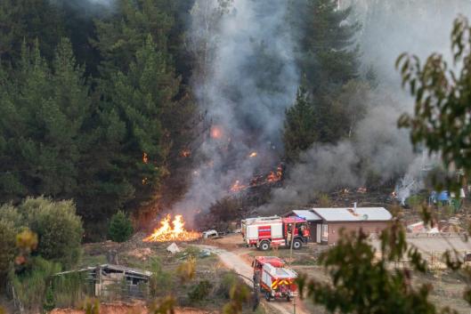 Forest fire in Chile in 2026
