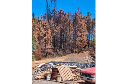 Protection to cut fire around the house (Photo: Verónica González Correa) 