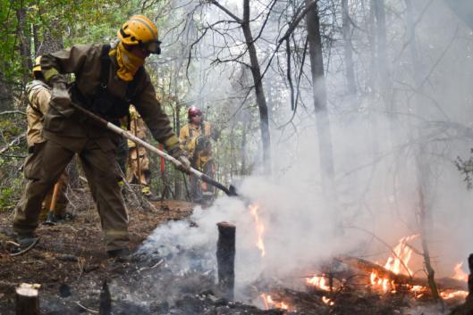 Combatientes del fuego en el Bosque Andino Patagónico (Foto: Nicolás Palacios/Colectiva de Acción Fotográfica) 