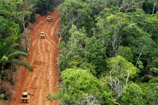 Quando a gente Magüta desaparecer, o mundo inteiro irá se acabar -  Amazônia Latitude