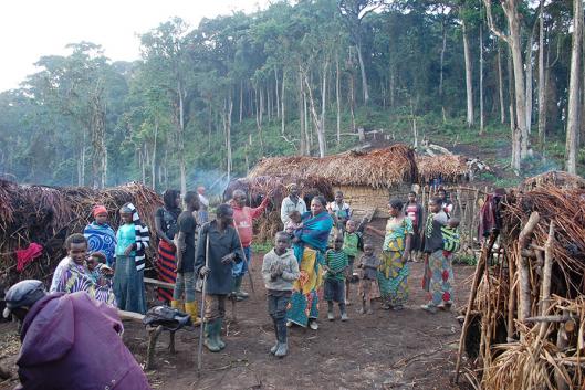 Caubóis da floresta: cultura dos rodeios invade a Amazônia