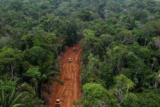 Infrastructure and Extraction: A Host of Deforestation