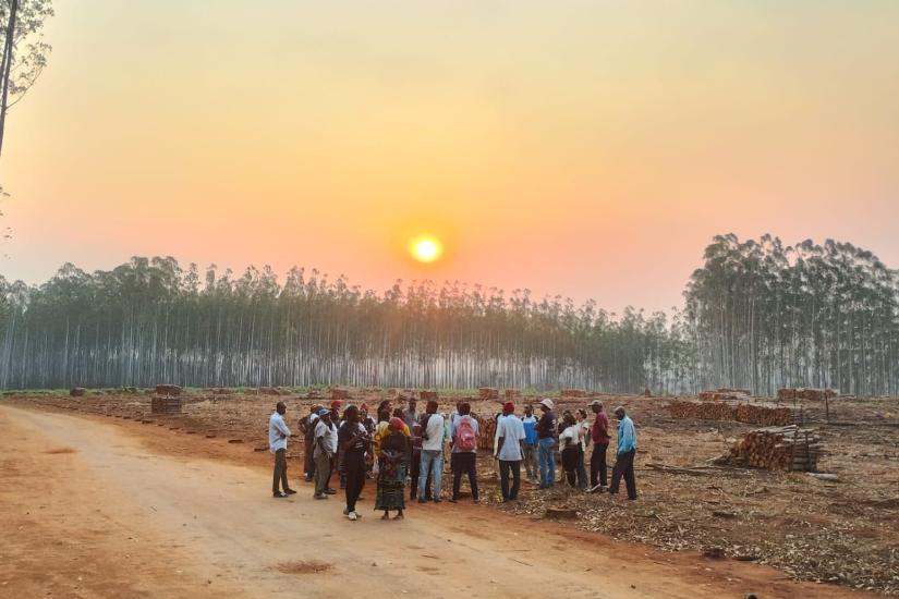 Communities resist eucalyptus monocultures in Mozambique (Photo: WRM)