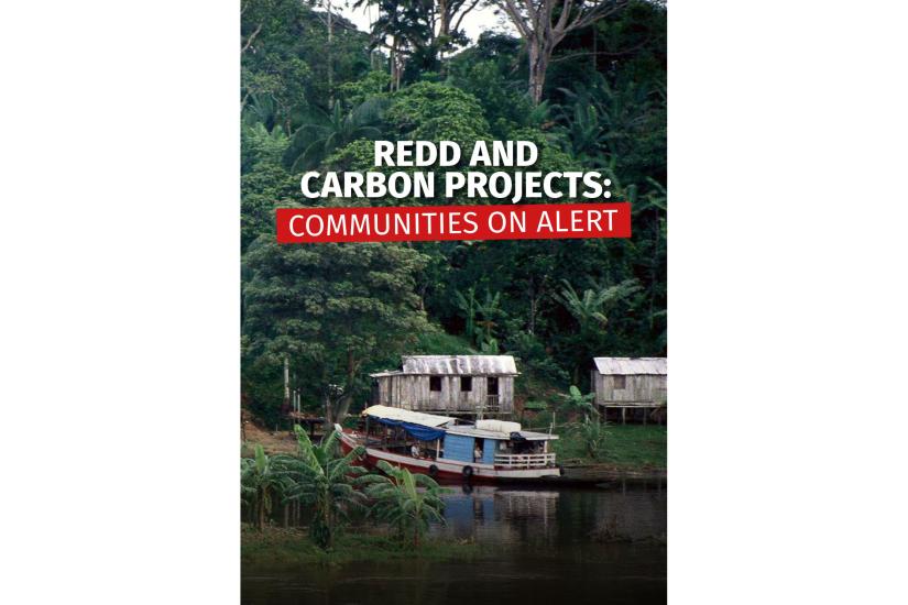 Cover-REDD