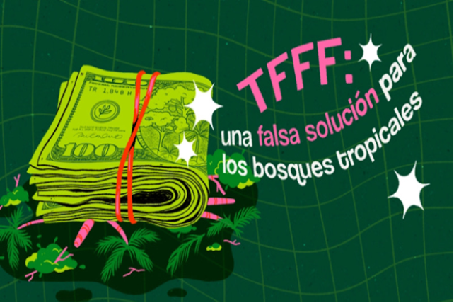 Boletín 274